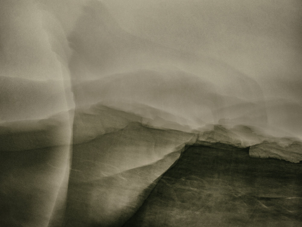 The birth of a new project - Legends from the Wild-ness