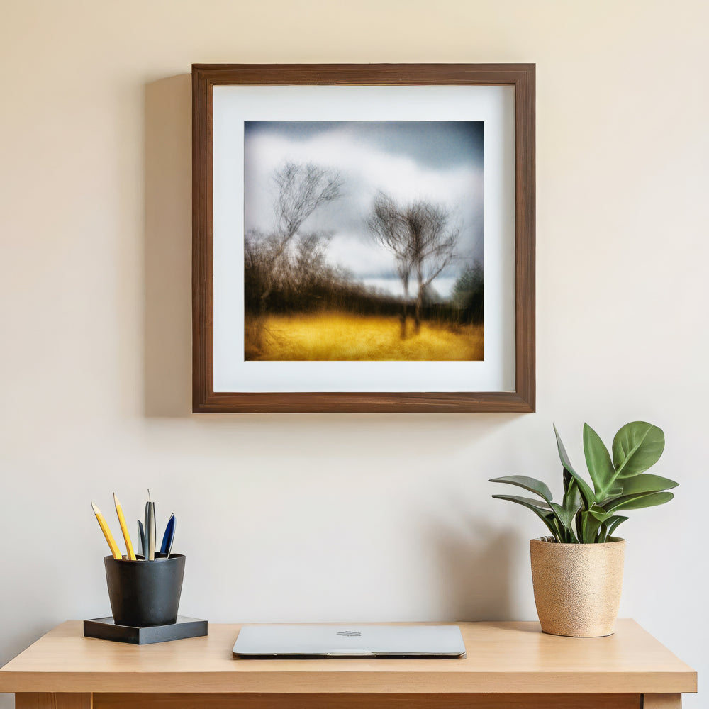 Winter's Grace | Woodland | Limited Edition Fine Art Landscape Photography Print