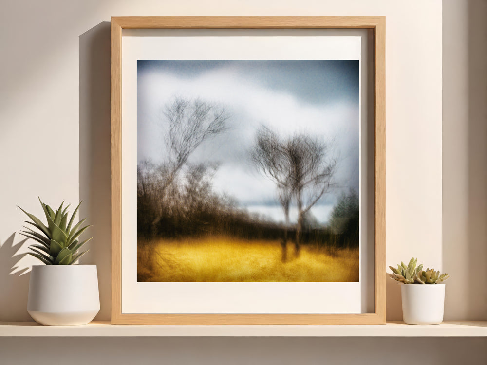 Winter's Grace | Woodland | Limited Edition Fine Art Landscape Photography Print