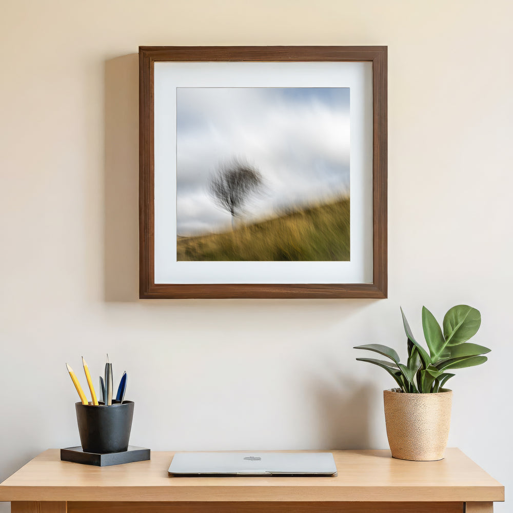 Dancing Tree | Woodland | Limited Edition Fine Art Landscape Photography Print