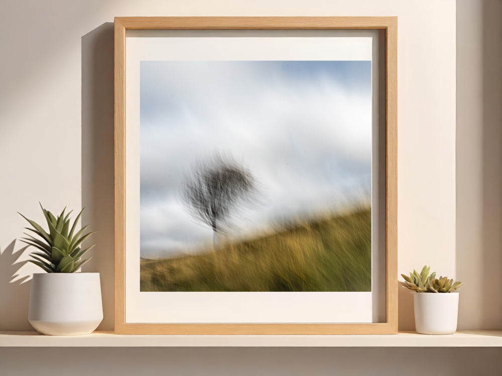 Dancing Tree | Woodland | Limited Edition Fine Art Landscape Photography Print