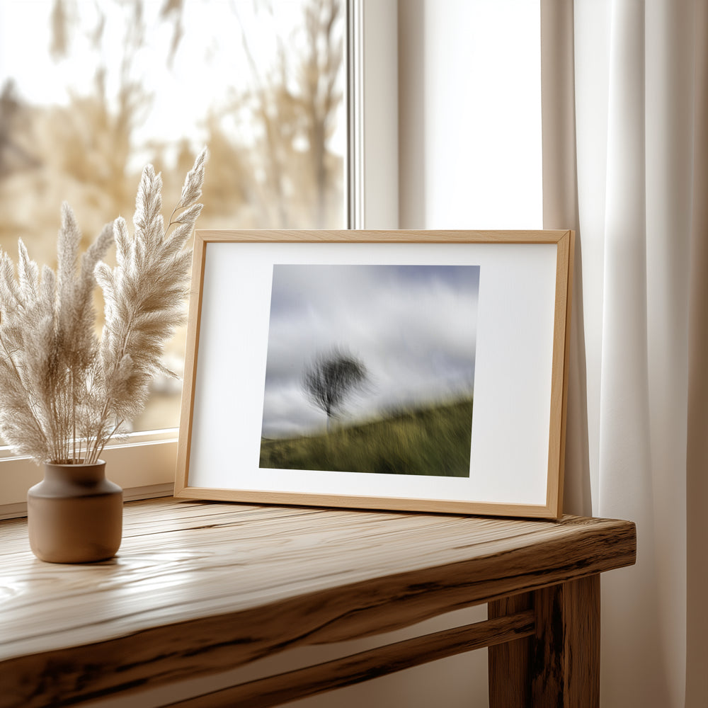Dancing Tree | Woodland | Limited Edition Fine Art Landscape Photography Print
