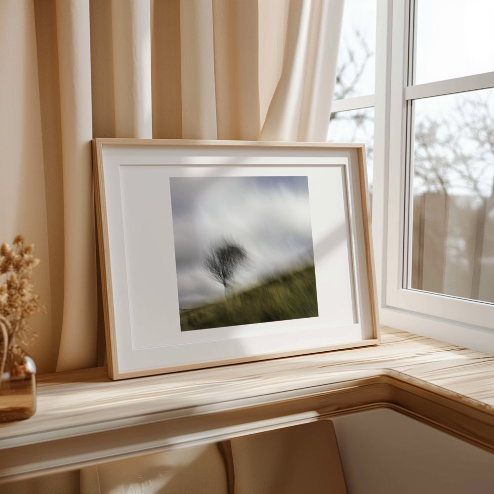 Dancing Tree | Woodland | Limited Edition Fine Art Landscape Photography Print