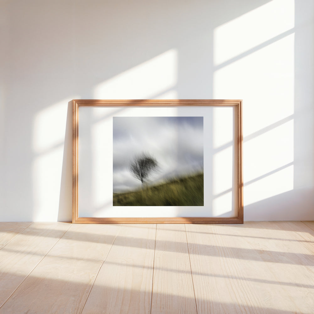 Dancing Tree | Woodland | Limited Edition Fine Art Landscape Photography Print