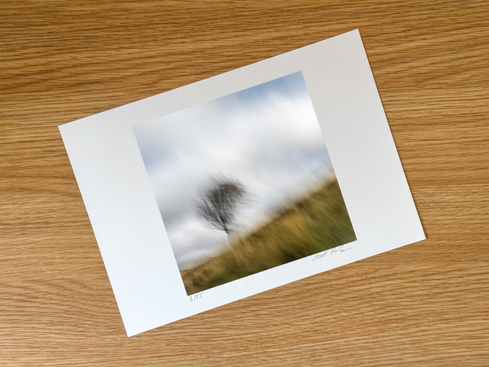 Dancing Tree | Woodland | Limited Edition Fine Art Landscape Photography Print