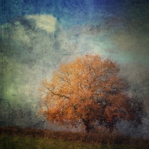 Advanced smartphone editing - online - Sunday 10th July