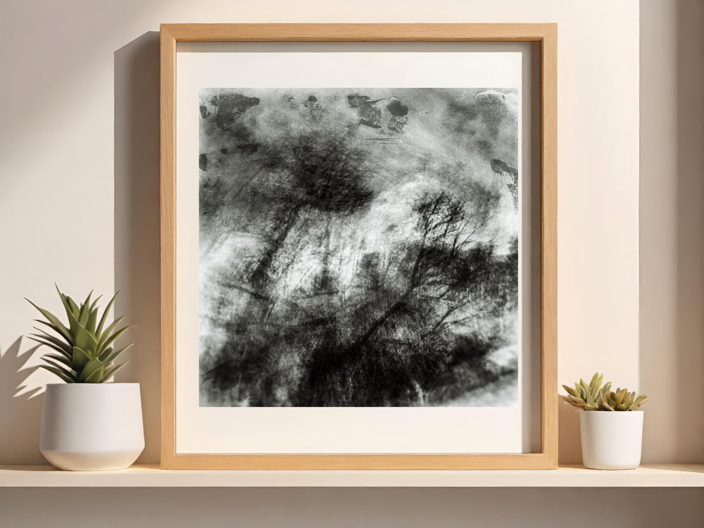 Woodland Impressions |Limited Edition Fine Art Photography Print