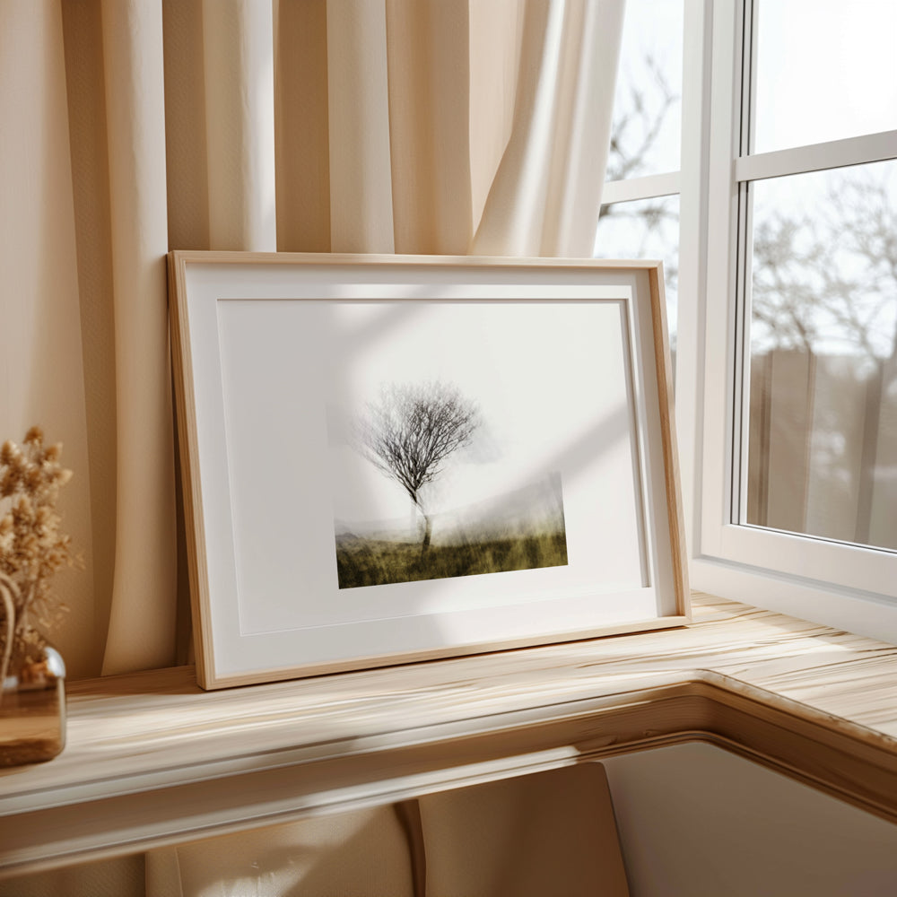 Lone Tree | Woodland | Limited Edition Fine Art Landscape Photography Print