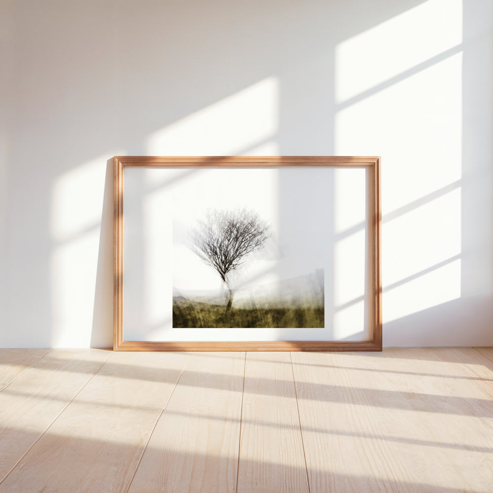 Lone Tree | Woodland | Limited Edition Fine Art Landscape Photography Print