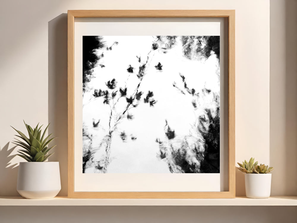 MindGhosts 4 | Semi Abstract River Reflection | Limited Edition Fine Art Photography Print