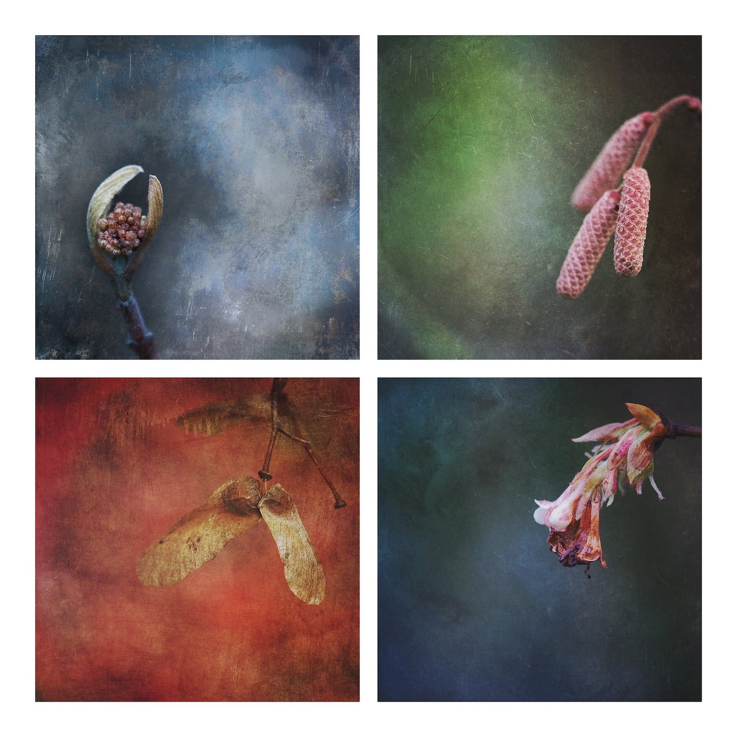 Individual creative mentoring - online