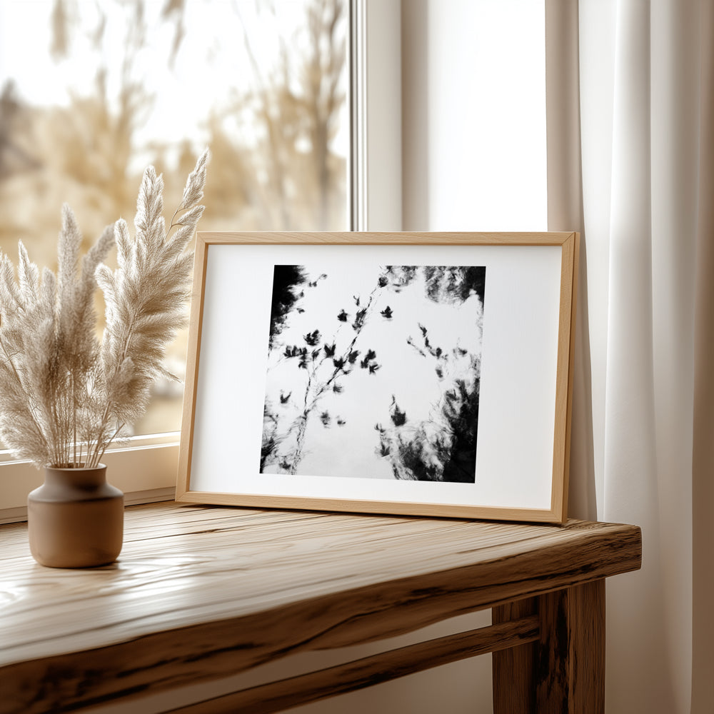 MindGhosts 4 | Semi Abstract River Reflection | Limited Edition Fine Art Photography Print