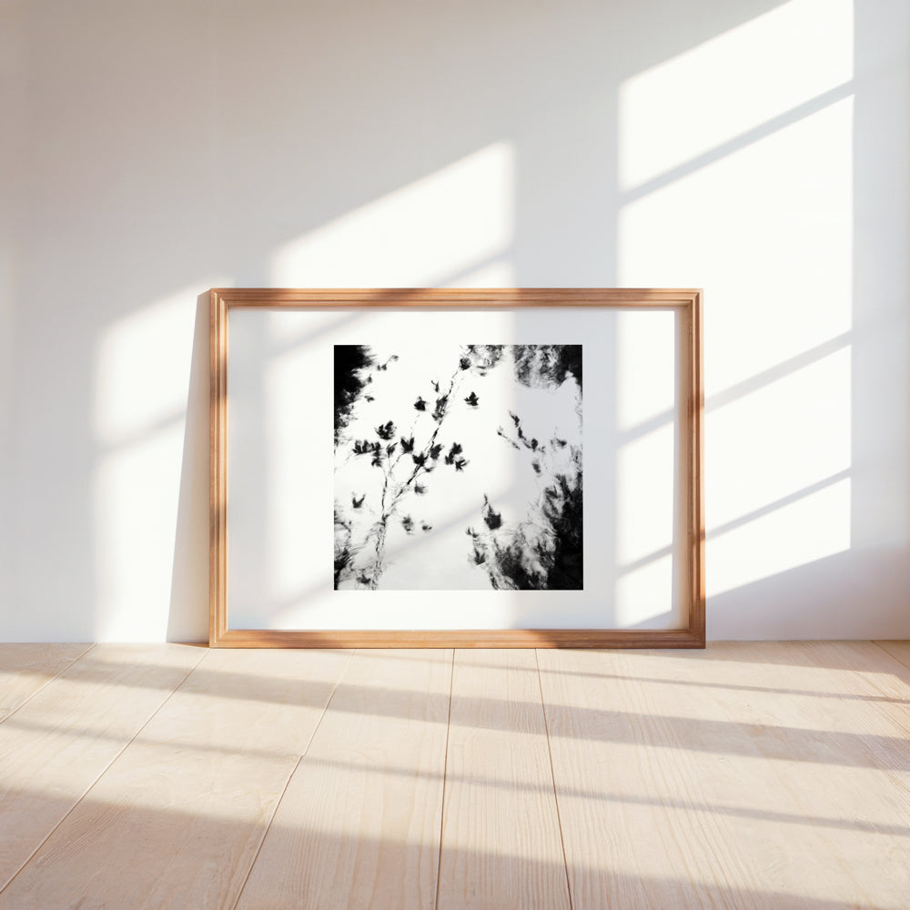 MindGhosts 4 | Semi Abstract River Reflection | Limited Edition Fine Art Photography Print