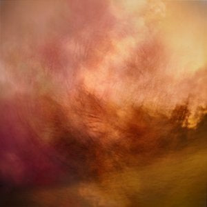 By Brook | Semi Abstract Expressionist Woodland | Fine Art Landscape Photography Print