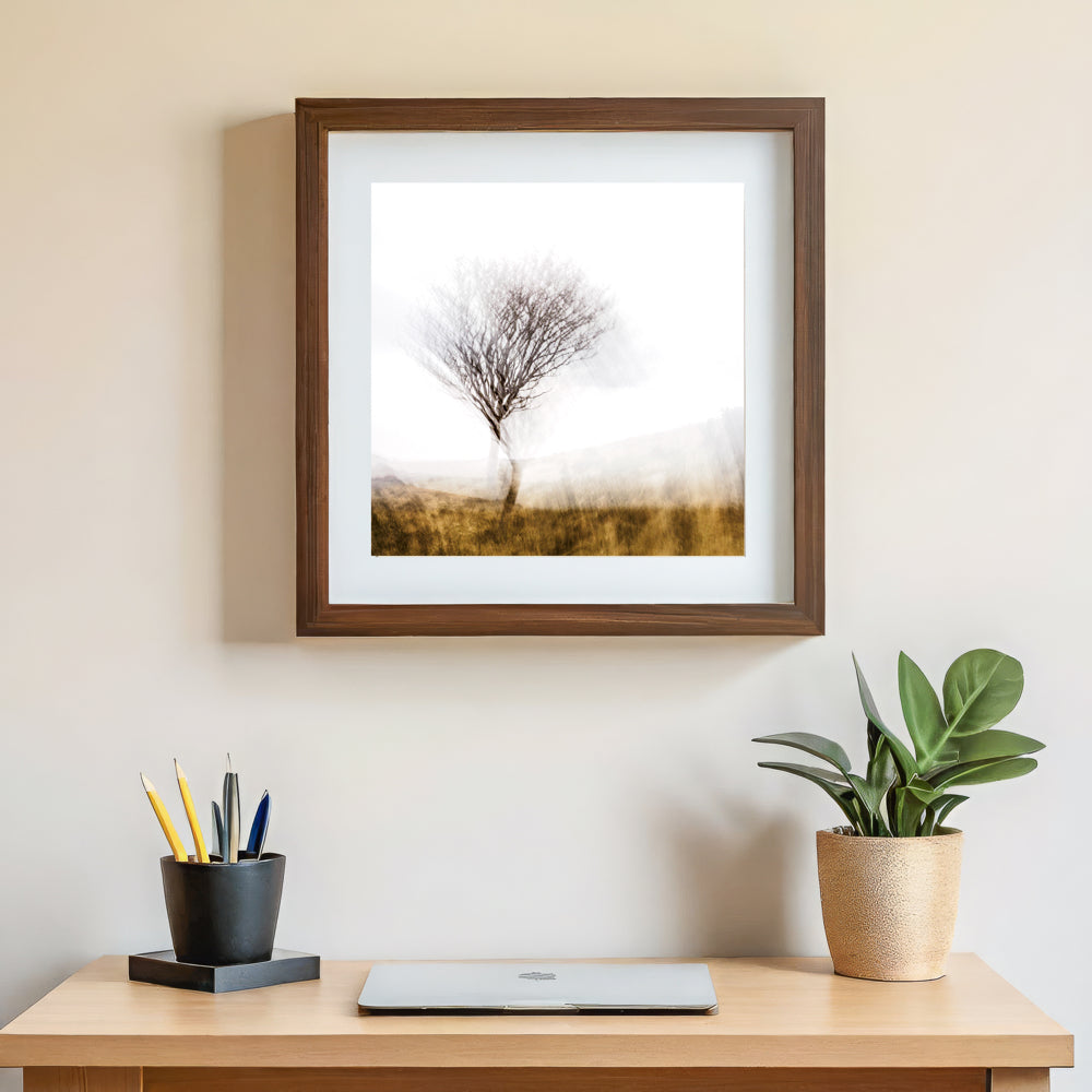 Lone Tree | Woodland | Limited Edition Fine Art Landscape Photography Print