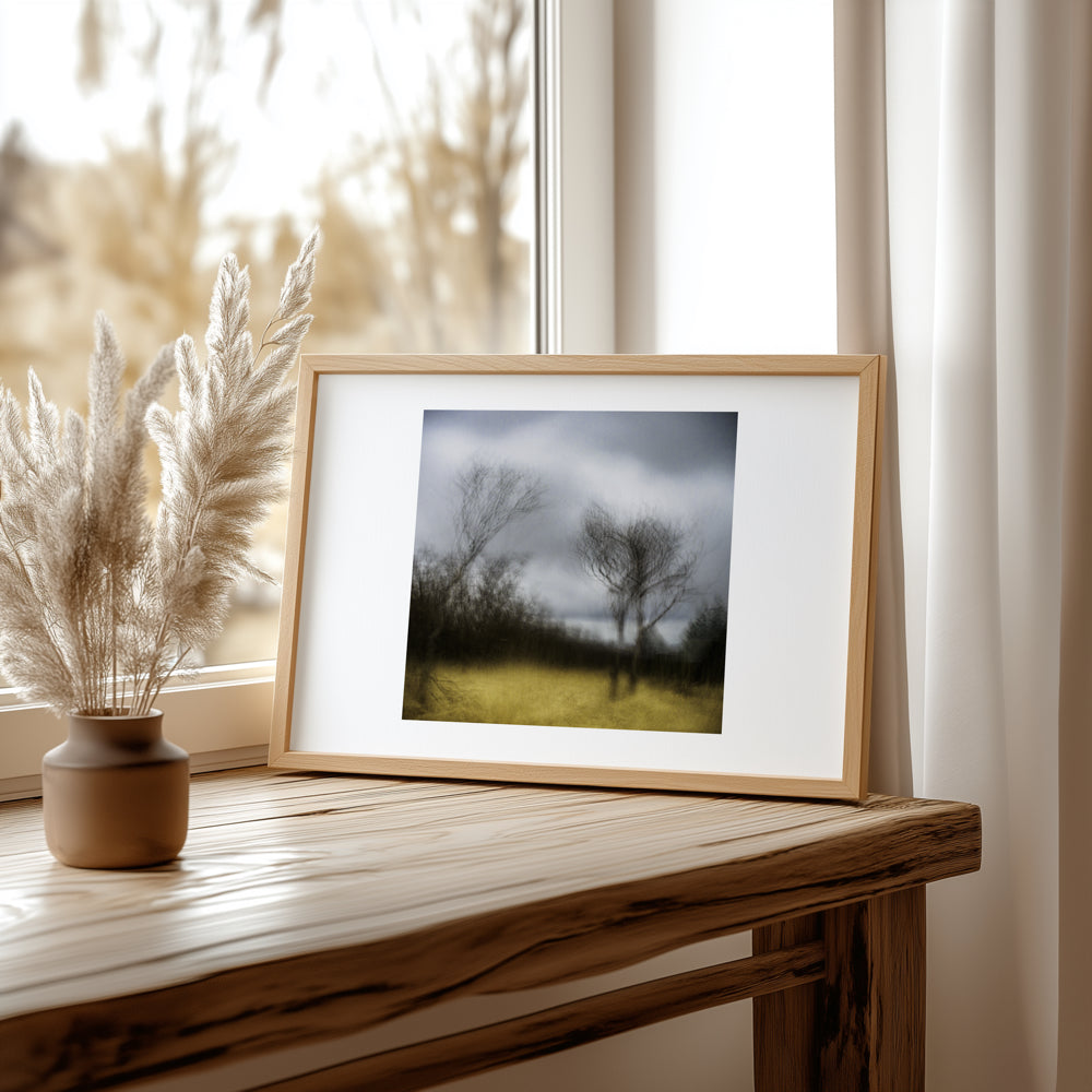 Winter's Grace | Woodland | Limited Edition Fine Art Landscape Photography Print