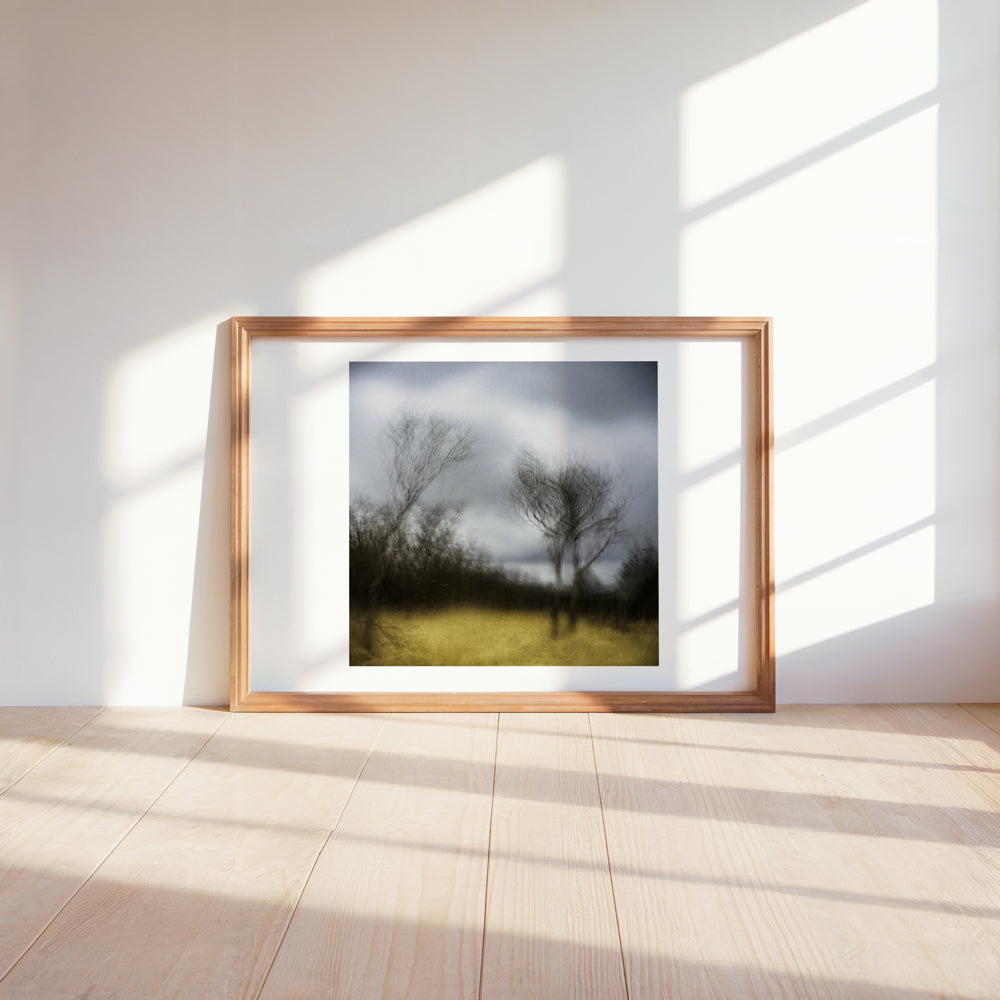 Winter's Grace | Woodland | Limited Edition Fine Art Landscape Photography Print