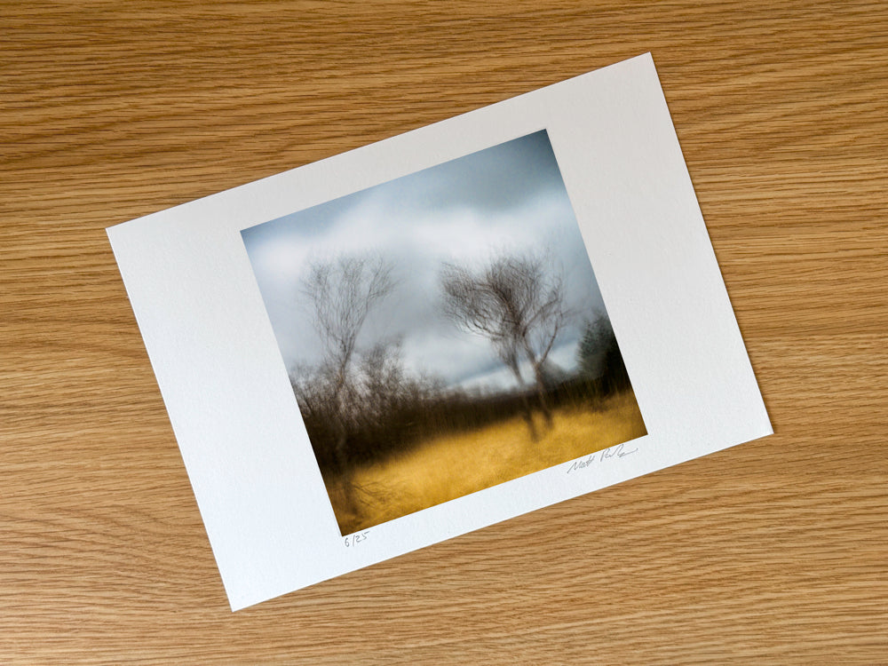 Winter's Grace | Woodland | Limited Edition Fine Art Landscape Photography Print