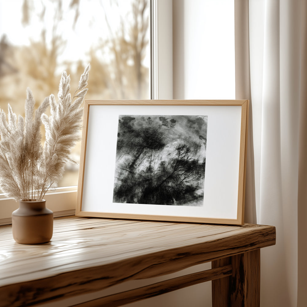 Woodland Impressions |Limited Edition Fine Art Photography Print