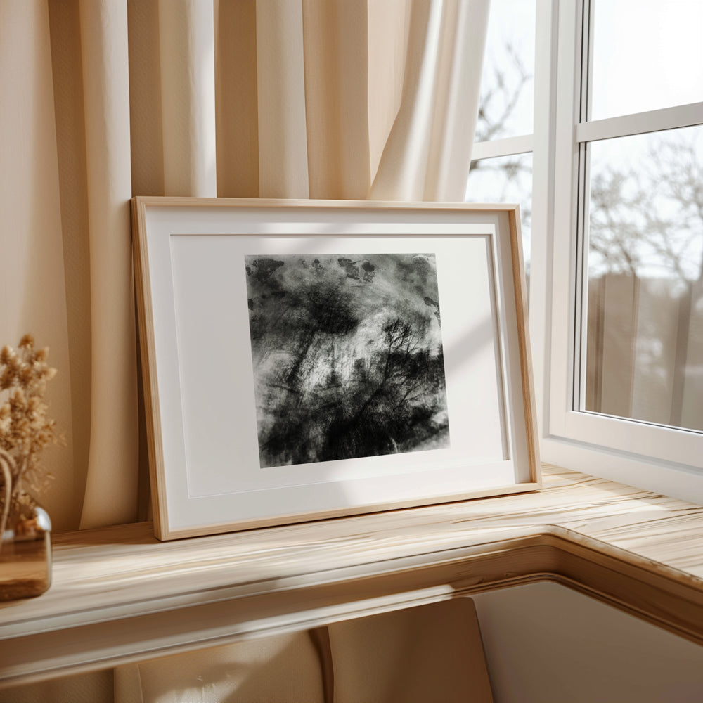 Woodland Impressions |Limited Edition Fine Art Photography Print