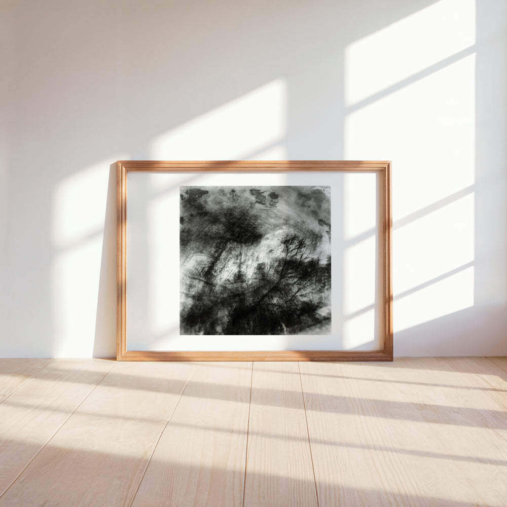 Woodland Impressions |Limited Edition Fine Art Photography Print