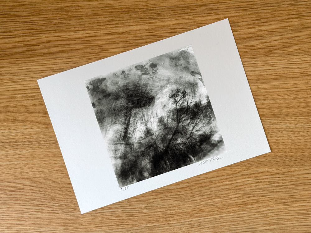 Woodland Impressions |Limited Edition Fine Art Photography Print