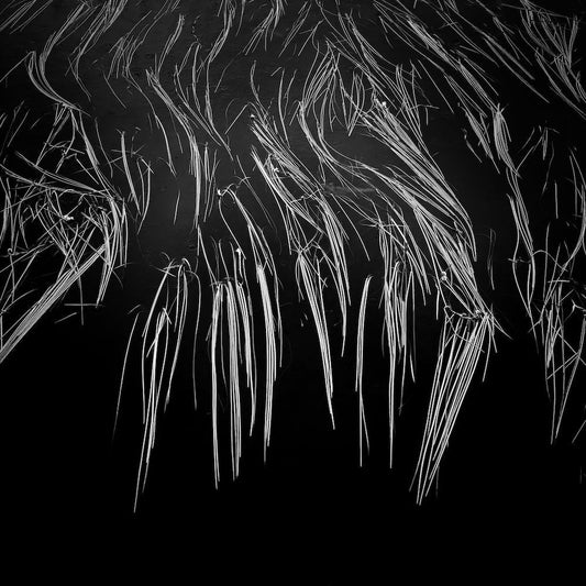 Small detail photography: there’s a whole new world out there