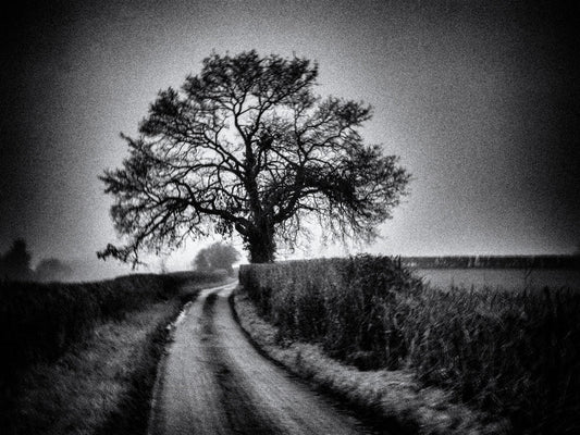 Why Vision Matters More Than Technique (And How It Creates Coherent, Meaningful Work)