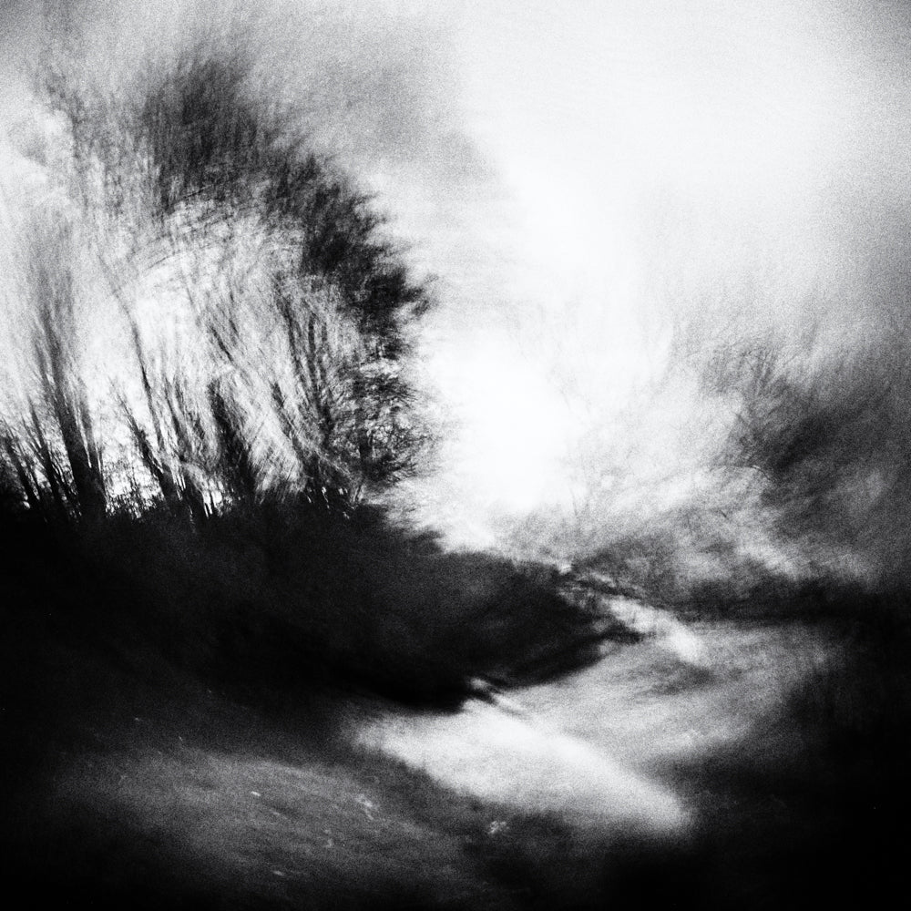 The cult of sharpness: why the perfectly focused image is often the least interesting one