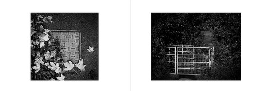 The Reason Many Photographers Get Stuck (And Why It’s Not Their Fault)