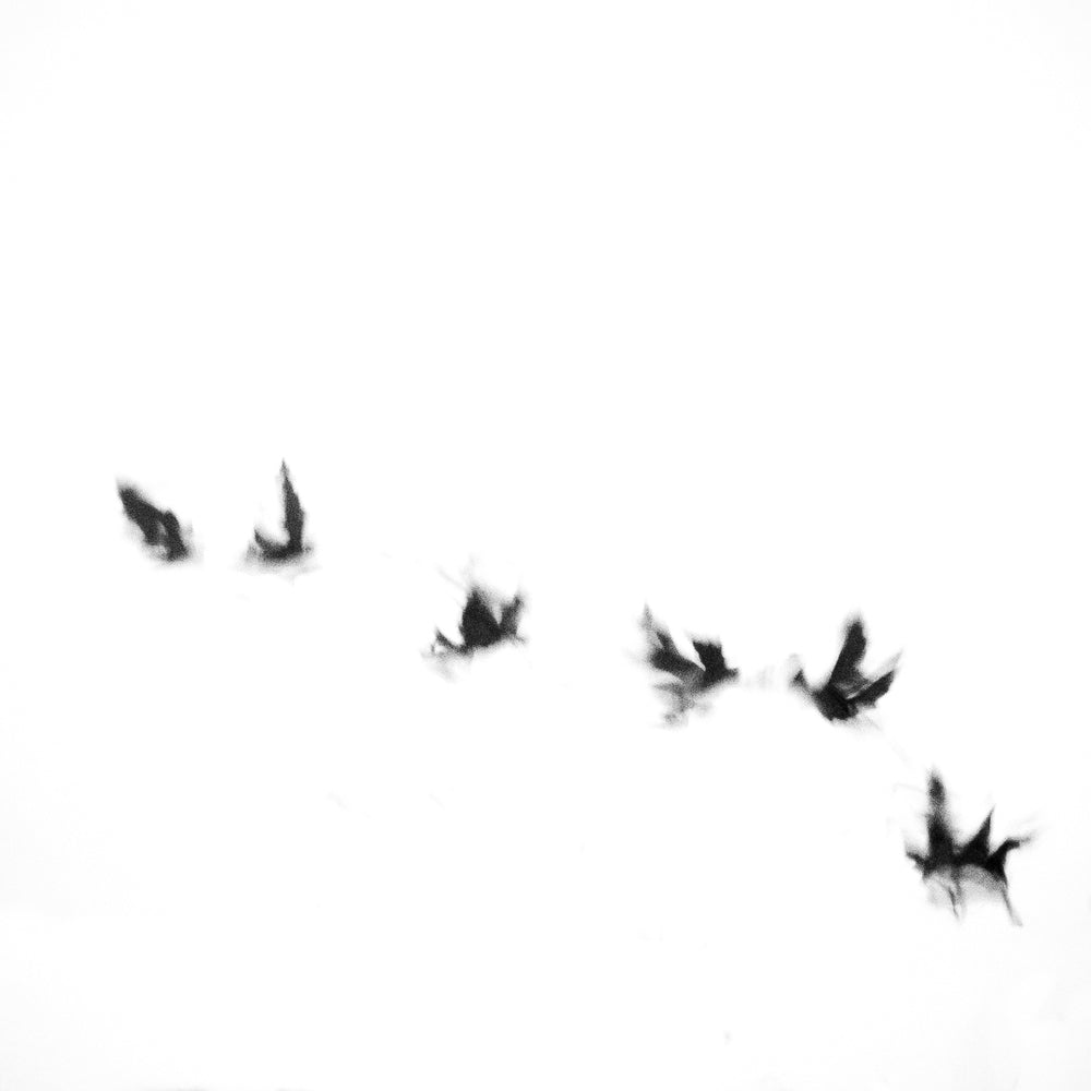 MindGhosts - Semi Abstract Expressionist River Reflection Limited Edition Fine Art Photography Prints