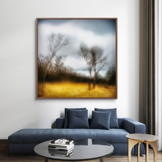 Winter's Grace | Woodland | Limited Edition Fine Art Landscape Photography Print
