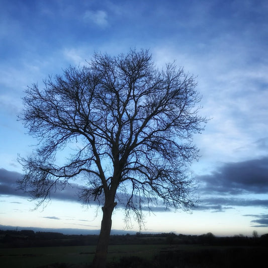 How to edit stand out images on your smartphone - online - Saturday 9th July