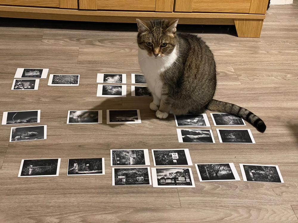 The Practical Photo Project - live online - starts 4th Feb