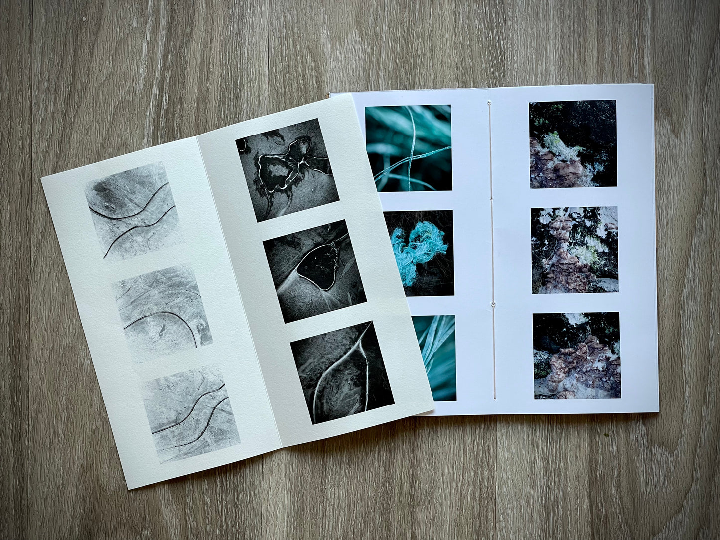 The Practical Photo Project - live online - starts 4th Feb