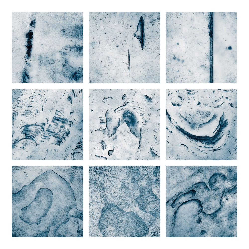 The Practical Photo Project - live online - starts 4th Feb