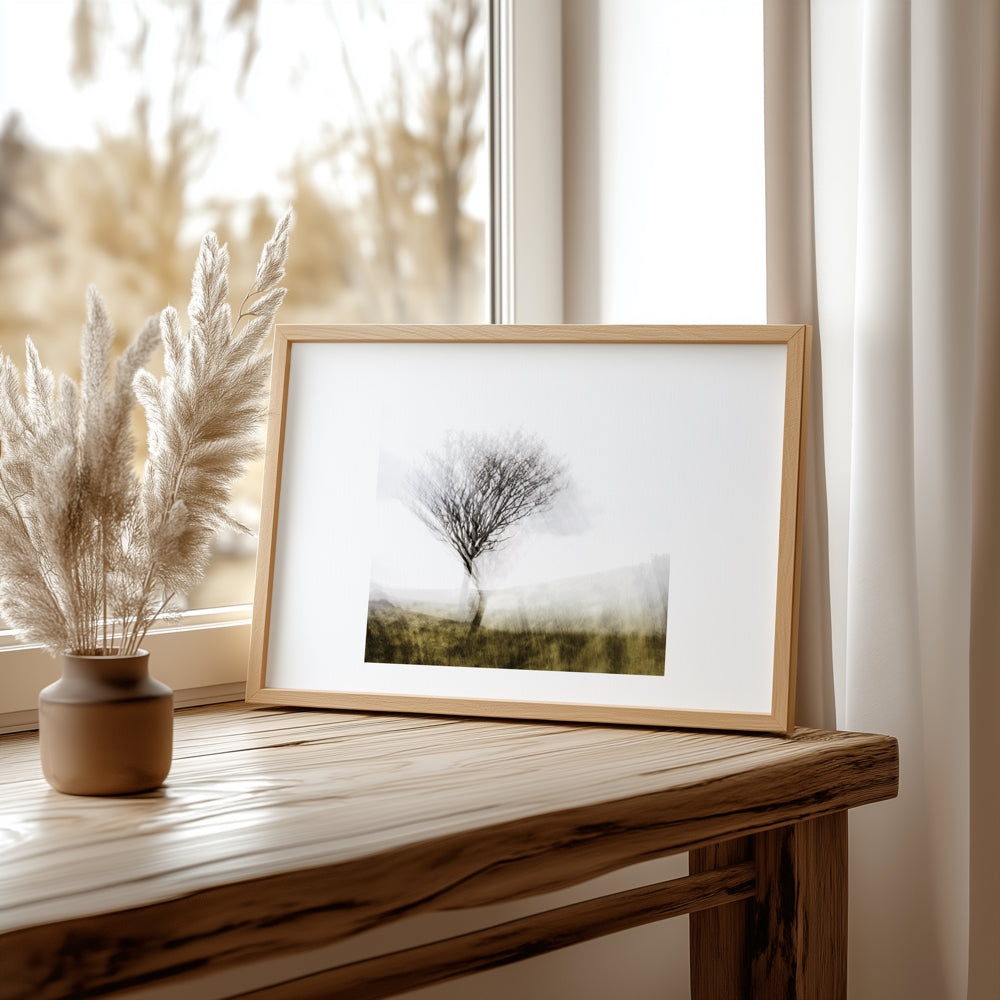 Lone Tree | Woodland | Limited Edition Fine Art Landscape Photography Print