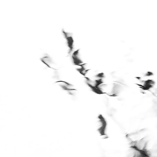 MindGhosts 3 | Semi Abstract River Reflection | Limited Edition Fine Art Photography Print