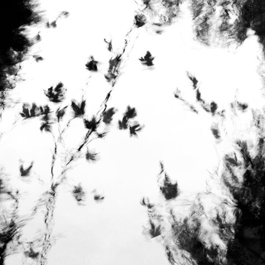 MindGhosts 4 | Semi Abstract River Reflection | Limited Edition Fine Art Photography Print