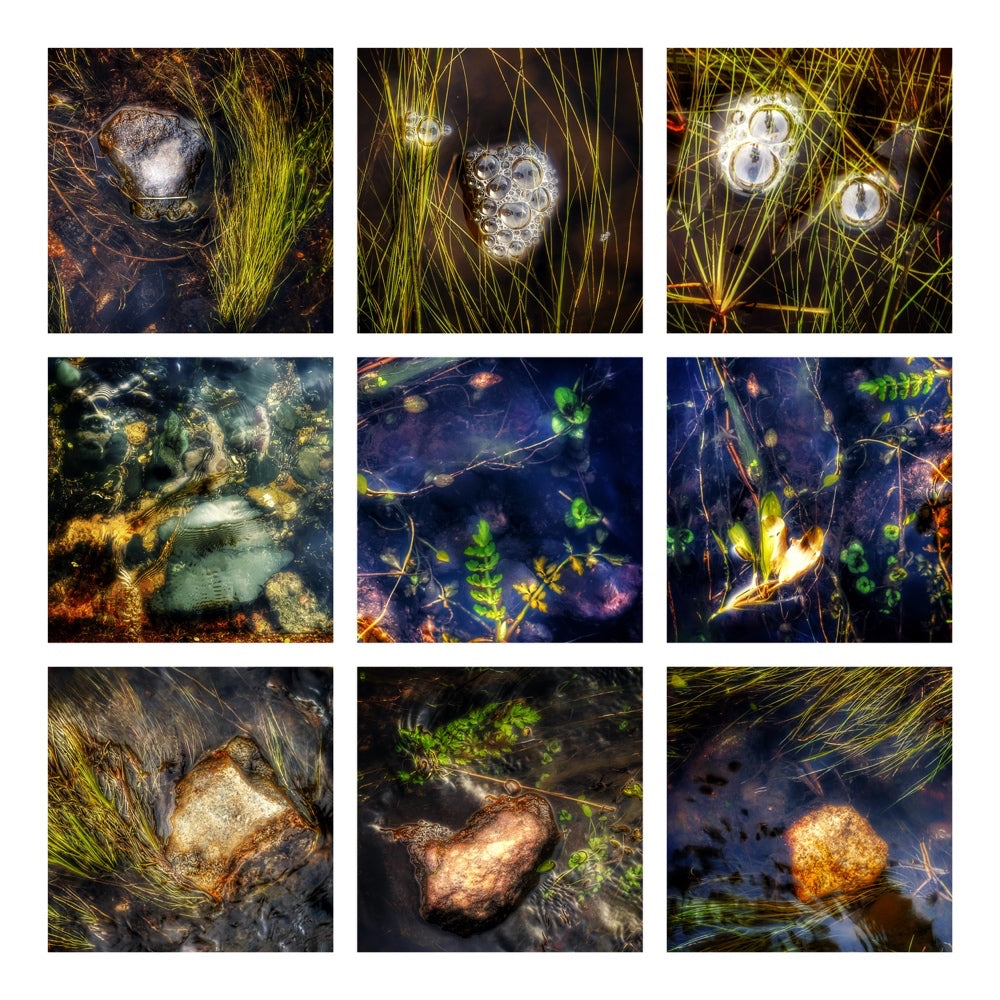 The Practical Photo Project - live online - starts 4th Feb