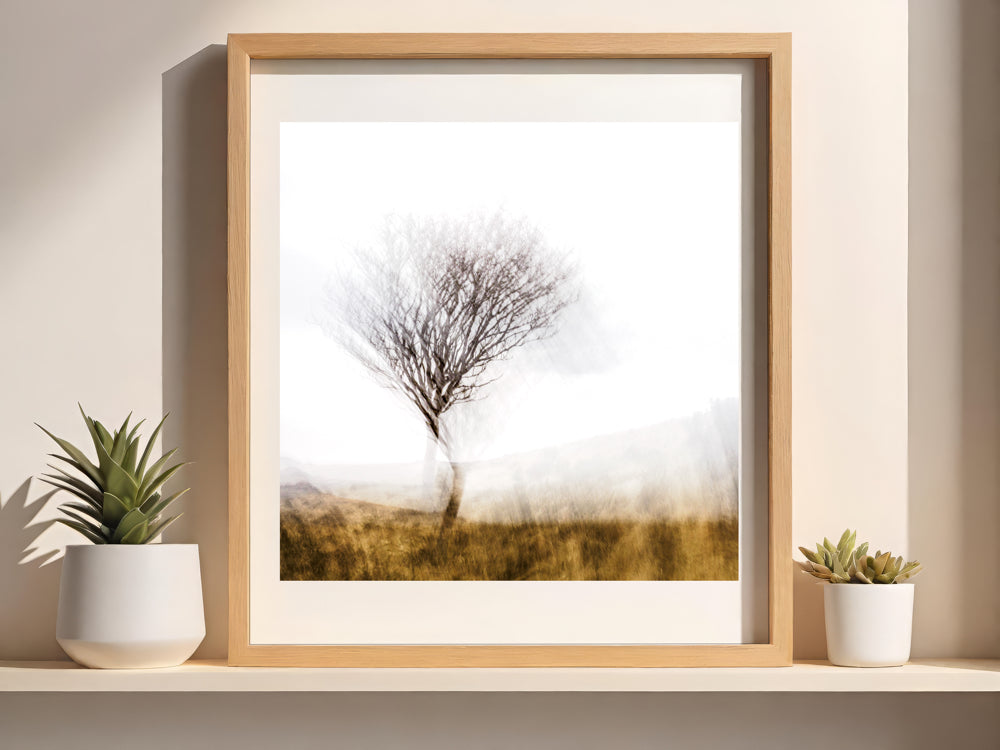 Lone Tree | Woodland | Limited Edition Fine Art Landscape Photography Print